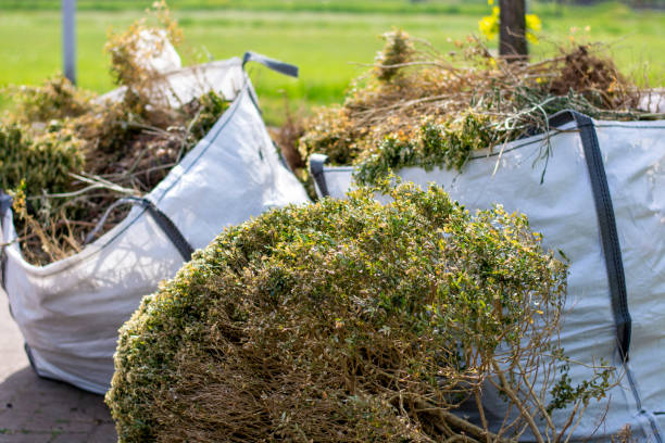 Best Scrap Metal Removal  in Iola, WI